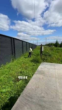 Россияне массово бросились зарабатывать на траве. В России набирает популярность сезонный бизнес