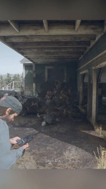 Days Gone | Небольшая Орда!