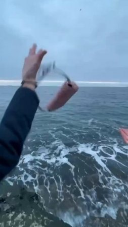 Манета в море и сумоку