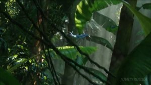 АВАТАР 2 (Фильм 2022) Русский трейлер Джеймс Кэмерон