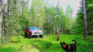 Погода портит все планы! В очередной раз порадовало наследие ужд, мелиораторов и лесорубов!!!