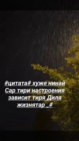 #_цитата мандар 🥀_# вся взаимно не трогать #