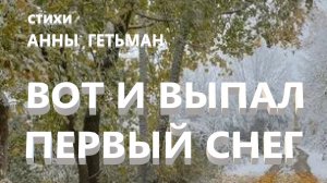 Вот и выпал первый снег