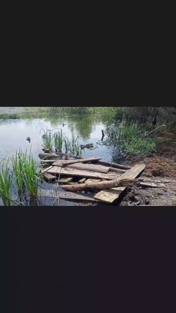 гости на рыбалке