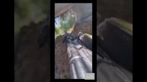 ВЫ ДУМАЕТЕ ...