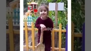 КТО ТАКОЙ ЦЫПЛЕНОК