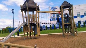 — ✨Обзор нашего Беспятовского леса✨ — Часть №1