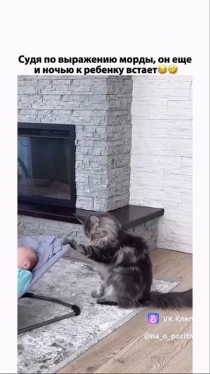Видео WhatsApp 2025-05-23 в 15.02.24_2100461f