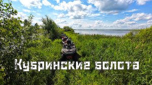 Кубринские болота