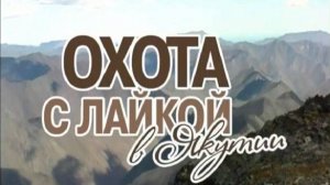 Охота с Лайкой в Якутии. 1 часть