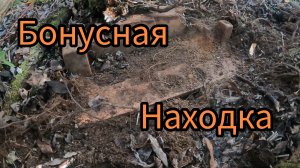 Коп Металла. Зашёл на старое место и офигел от такой Находки.