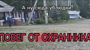 Побег от охранника яхтклуба!