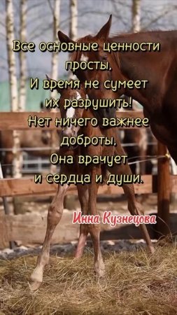 Ценности - просты !