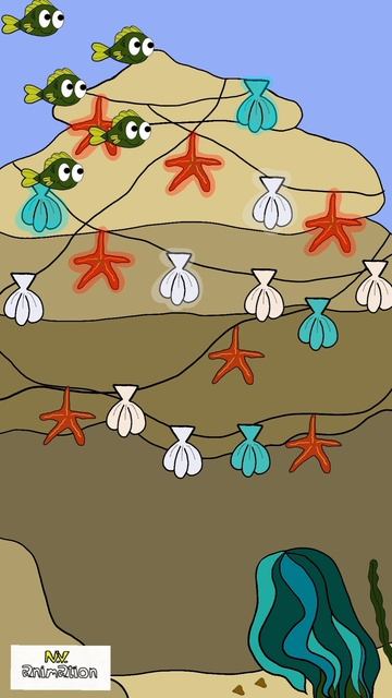 N.V. animation русалочка