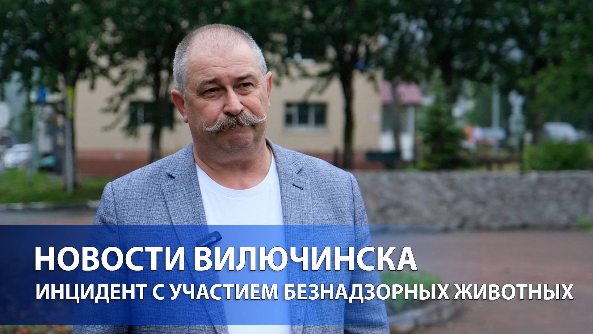 Инцидент с участием безнадзорных животных прокомментировал директор МБУ Благоустройство Вилючинска