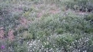 успешные становятся бичами
