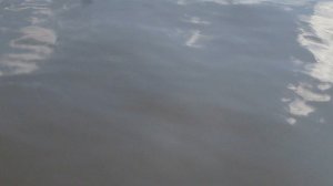 Водная поверхность 1