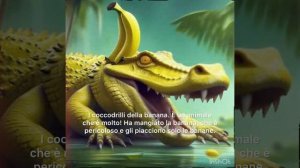 I coccodrilli della banana.