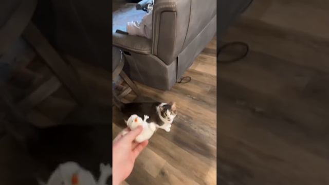 1000052725.mp4