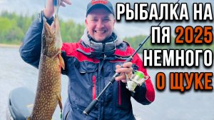 Рыбалка на Пя 2025, немного о щуке.