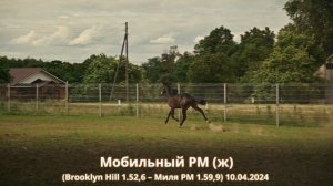 Мобильный РМ (ж) (Brooklyn Hill 1.52,6 – Миля РМ 1.59,9) 10.04.2024
