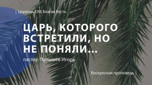 Царь, Которого встретили, но не поняли | Проповедь | пастор Пупышев Игорь | Церковь Благая Весть