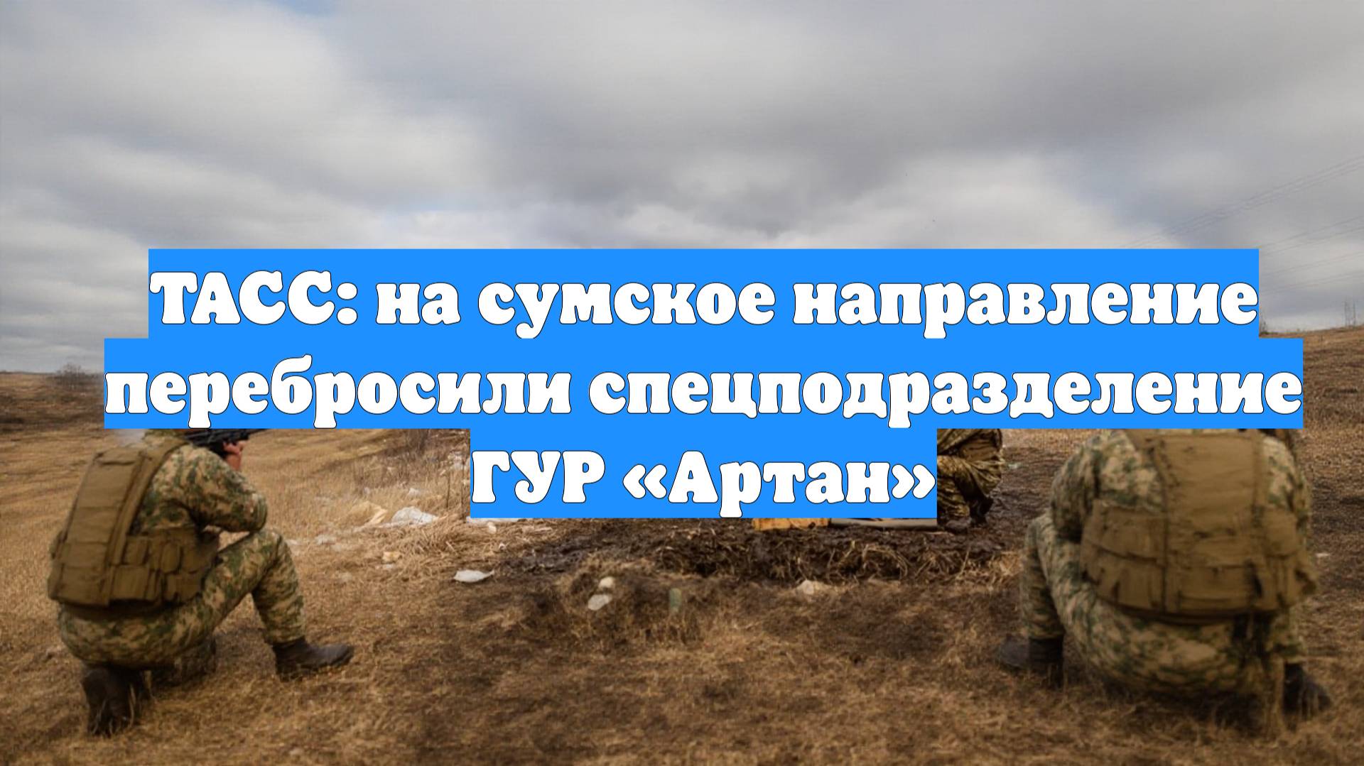 ТАСС: на сумское направление перебросили спецподразделение ГУР «Артан»