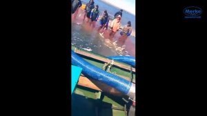 Облов в море при помощи рыбонасоса Pescamotion 8 в Магаданской области