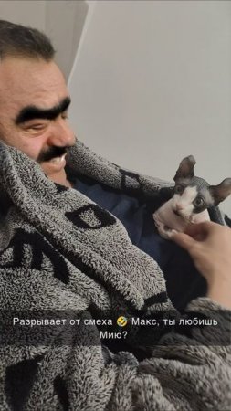#Snapchat #кошки #тренды #котики #смешно #сфинкс #лайк #мем #сфинксы #любимка #питомцы #коты #сфинкс