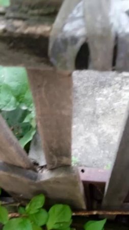 что я делаю на улице