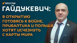 Гайдукевич: если Прибалтика и Польша развяжут войну, они исчезнут с карты мира