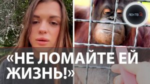 «Не ломайте Насте жизнь!»: в крымском «Тайгане» заступились за спортсменку, давшую вейп орангутану