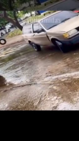 Ищейка Оптимуса Прайма на охоте🥵
