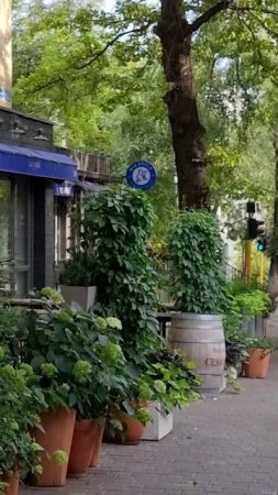 Утро Алматы. 01.07.2025