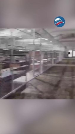 Визит Трампа во Флориду: «Аллигатор Алькатрас» как символ жесткой миграционной политики