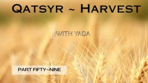 Qatsyr ~ Harvest Part Fifty~Nine 01 July 2025