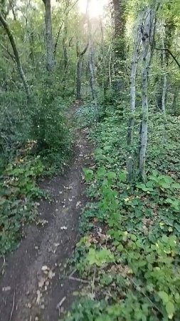 Сукко горы