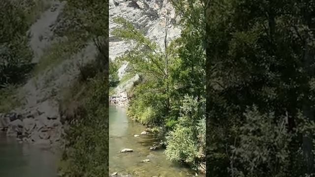 1000137257.mp4