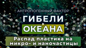 Гибель Океана : Распад пластика на микро- и наночастицы