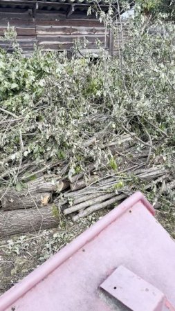 Расчистка заросшего дачного участка в подмосковье