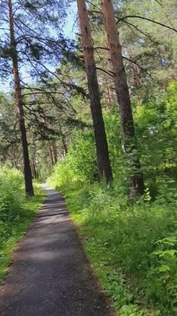 Живу в раю одета в счастье