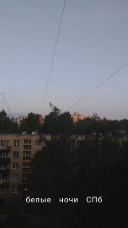 Белые ночи СПб (02 июля 25)