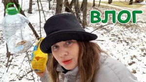 Влог: Котик Тобиас помогает выбрасывать ненужное / Накормила птичек кормом для попугаев