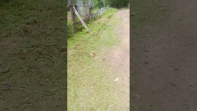 02-07-у дома