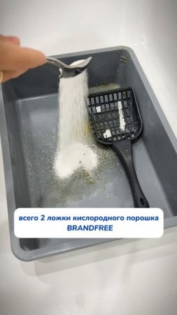 А ты правильно моешь лоток кота?