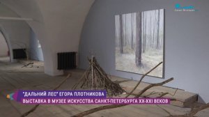 «Дальний лес» Егора Плотникова в Музее искусства Санкт-Петербурга XX-XXI веков
