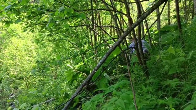 Путешествие на Комсомольское. Западное побережье Татарского пролива. Остров Сахалин Часть 4