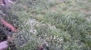 держать скотину в деревне..и соседям вонь