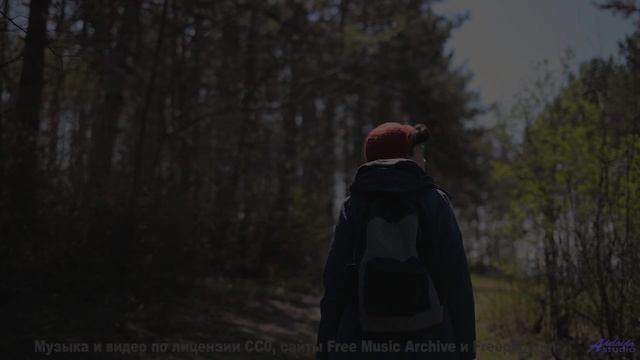 Этот трек записан в заброшенном лесу. - No-Clouds -- Ketsa -- Collective Consciousness
