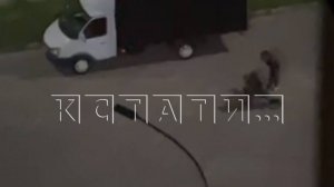 Мужчины, задержанные за избиение девушки, в полиции сказали, что они ни при чём и их отпустили